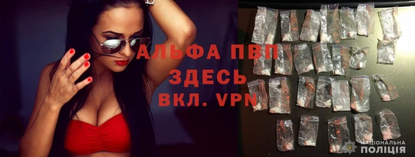 стафф Каменногорск