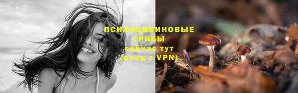 мяу мяу кристалл Каменка