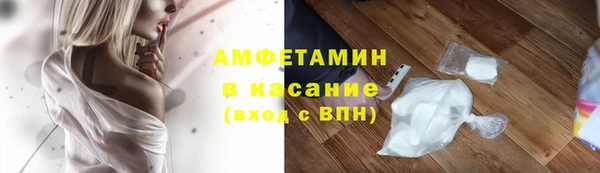 стафф Каменногорск