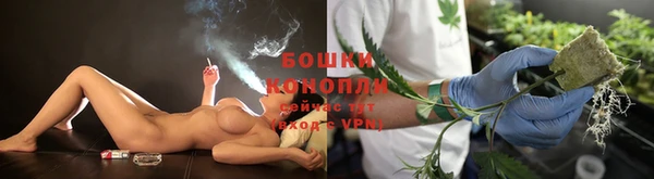 стафф Каменногорск