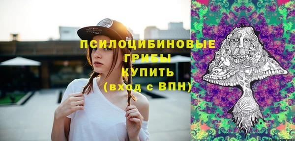стафф Каменногорск