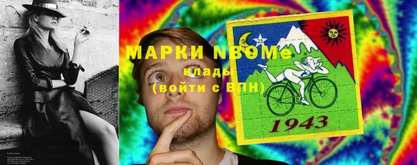 стафф Каменногорск