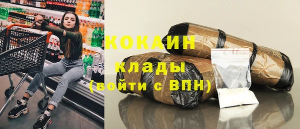 стафф Каменногорск