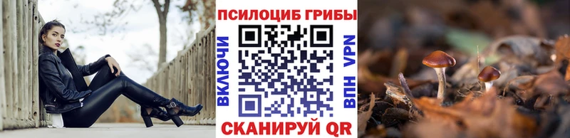 Псилоцибиновые грибы Magic Shrooms  Купить  Королёв 